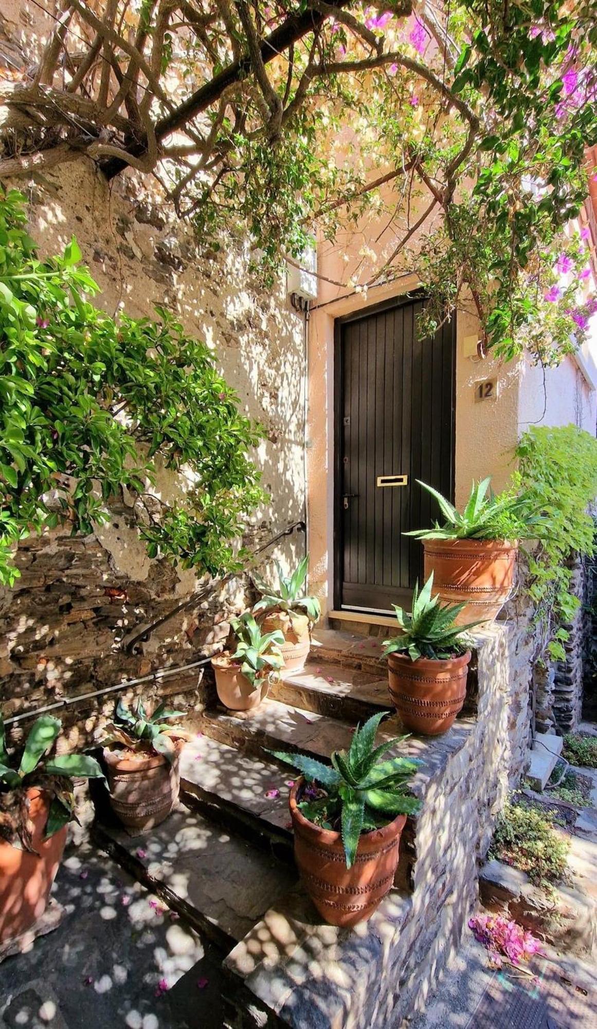 6Bat3 Appartement Vue Mer Collioure Exteriér fotografie